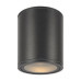Уличный потолочный светильник Maytoni Bar O306CL-L12GF