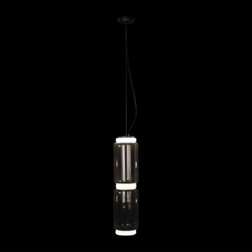 Подвесной светильник Loft IT Noctambule 10194/M