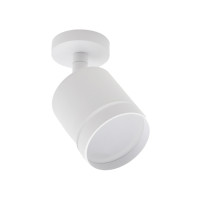 Светодиодный спот 20009 20009SMA/02LED SWH