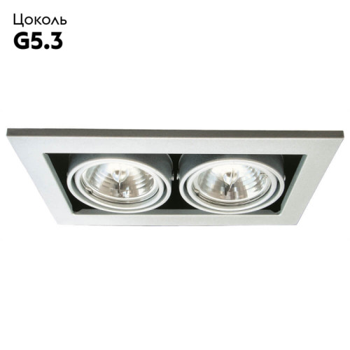 Встраиваемый светильник Arte Lamp Technika A5930PL-2SI