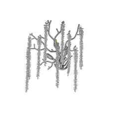 Настенный светильник Dio DArte Tavenna H 2.40.100 N Настенный светильник Dio DArte Tavenna H 2.40.100 N