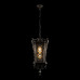Уличный подвесной светильник Loft IT Tremezzo 100019P BS