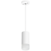 Подвесной светильник Lightstar Rullo RP43631 (214436+590056+202431)