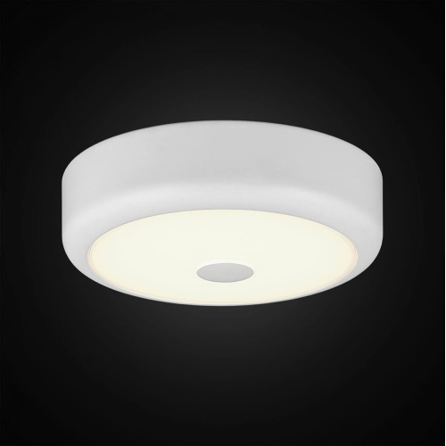 Потолочный светодиодный светильник Citilux Фостер-1 CL706110