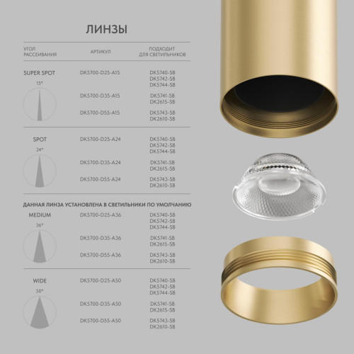 Накладной светильник Denkirs Shine tube DK2615-SB