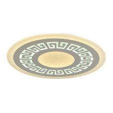 Потолочный светодиодный светильник F-Promo Ledolution 2273-8C