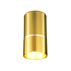 Потолочный светильник Elektrostandard DLN106 GU10 золото 4690389148613