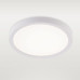 Потолочный светильник Natali Kovaltseva Plain LED LAMPS 81113/1C