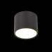 Потолочный светильник ST Luce Rene ST113.442.09