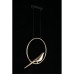 Подвесной светодиодный светильник Aployt Astor APL.822.06.10