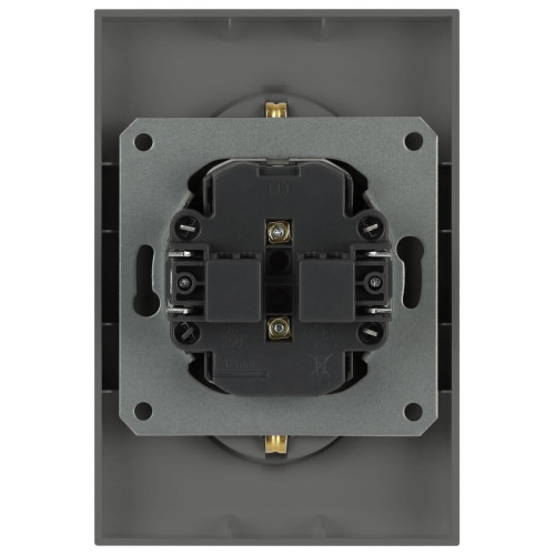 Розетка Эра Arktik 16-2107-06 без заземления двойная 2X2P 16А-250В графит Б0071686