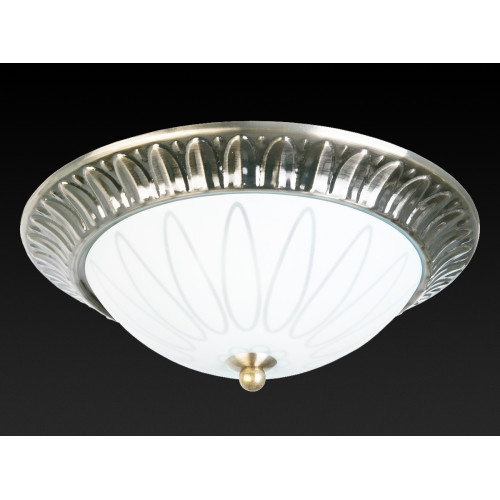 Накладной светильник Toplight Paulina TL5050Y-02AB