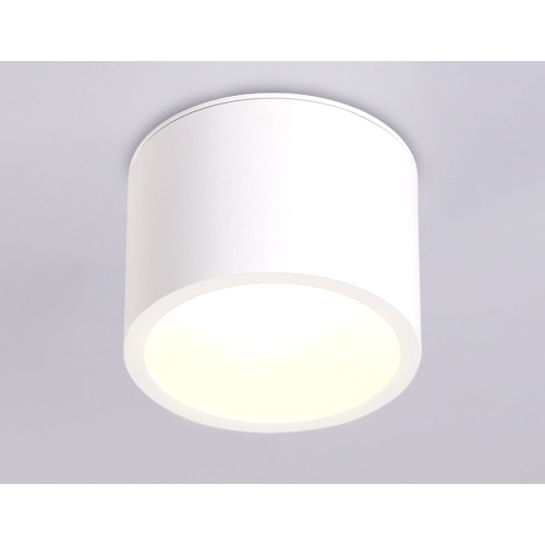 Накладной светильник Ambrella Light IP Protect TN6550