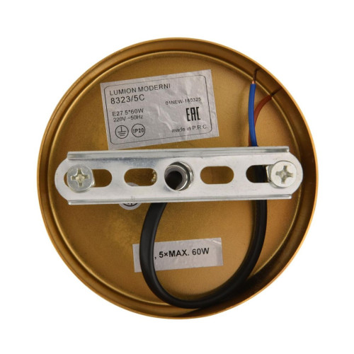Люстра на штанге Lumion Moderni Larina 8323/5C Люстра на штанге Lumion Moderni Larina 8323/5C