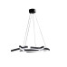 Подвесная люстра Zortes Aven ZRS.01243.01