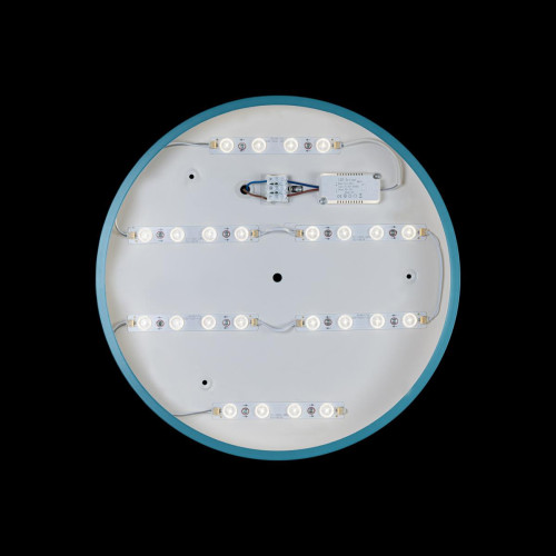 Потолочный светильник Loft IT AXEL 10003/24 Blue
