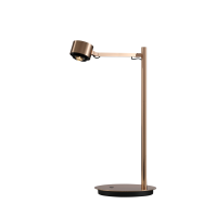 Настольная лампа DesignLed T-0367-1A-FG-WW 007530