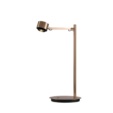 Настольная лампа DesignLed T-0367-1A-FG-WW 007530