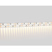 Светодиодная лента двухрядная Ambrella Light LED Strip 12В 2835 19,2Вт/м 3000K 5м IP20 GS1601