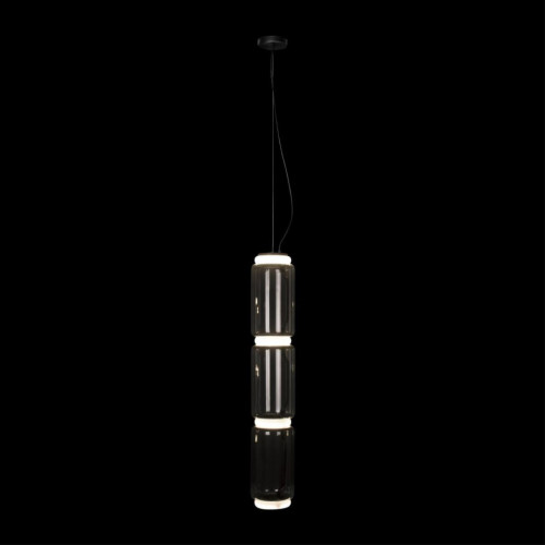 Подвесной светильник Loft IT Noctambule 10194/L