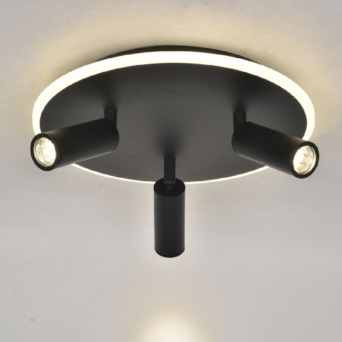 Потолочный светильник Escada 20046SMA/03LED BK