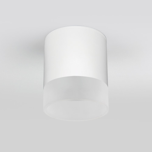 Уличный потолочный светильник Elektrostandard Light LED 4690389177958