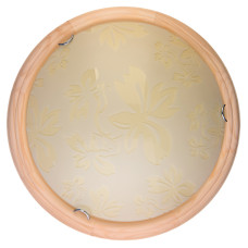 Настенно-потолочный светодиодный светильник Toplight Jane TL9640Y-00PN
