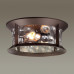 Уличный потолочный светильник Odeon Light Mavret 4961/2C