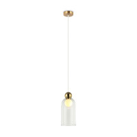 Подвесной светильник Freya Focus FR5220PL-01G