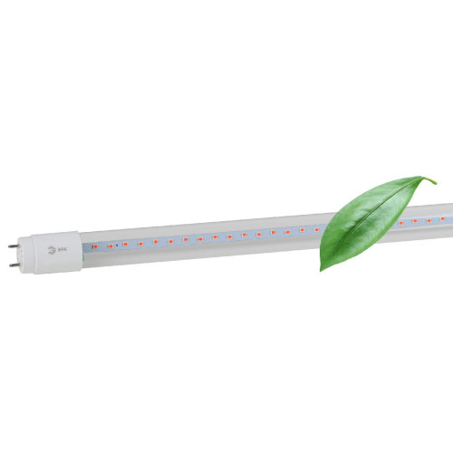 Фитолампа для растений Эра FITO-18W-RB-Т8-G13-NL Б0042990