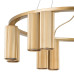 Подвесная люстра Lightstar Roma 718123
