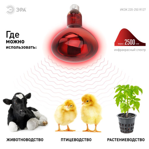 Инфракрасная лампа для обогрева животных и освещения Эра ИКЗК 220-250 R127 Б0055442