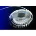 Светодиодная лента DesignLed DSG560-12-W-33 000513