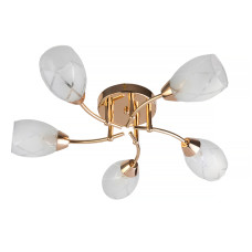 Потолочная люстра Toplight Lucy TL7120X-05FG