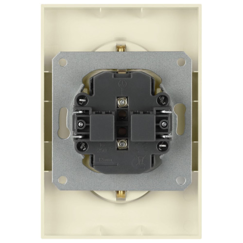 Розетка Эра Arktik 16-2104-02 двойная с заземлением 2X2P+E Schuko 16А-250В слоновая кость Б0070445