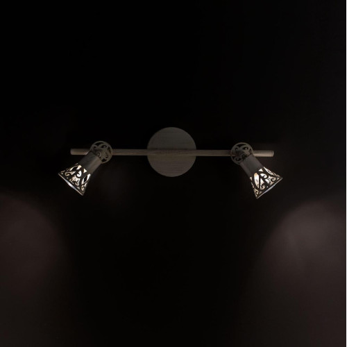 Спот Citilux Винон CL519525