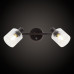 Спот Citilux Артик CL510525