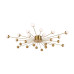 Потолочная люстра Freya Celebrity FR5242CL-24BS