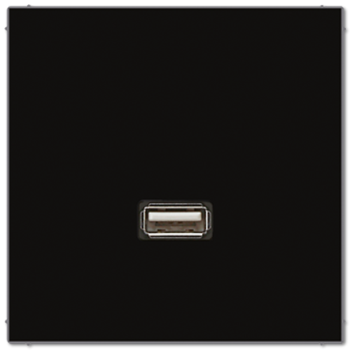 Розетка USB Jung MALS1122SW