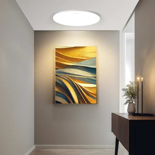 Потолочный светильник Yeelight Porch Ceiling Light C320/YLXDD-0153