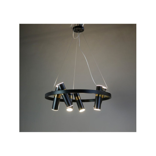Подвесная люстра Zortes Tweeny ZRS.1828.60