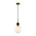 Подвесной светильник Odeon Light Midcent Lolla 4361/1A