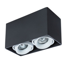 Потолочный светильник Arte Lamp Pictor A5654PL-2BK