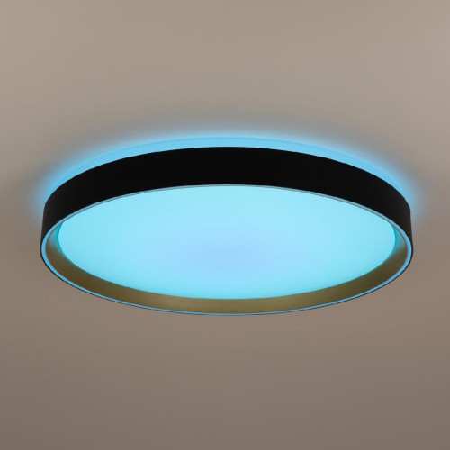 Потолочный светильник Citilux Boss CL751451G