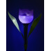 Светильник на солнечных батареях (UL-00004278) Uniel Promo USL-C-453/PT305 Purple Tulip