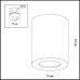 Потолочный светильник Odeon Light Aquana 3572/1C