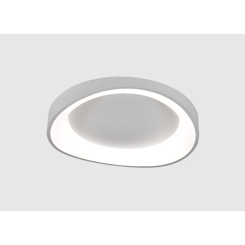 Потолочный светильник Arte Lamp Sualocin A2698PL-60WH