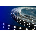 Светодиодная лента DesignLed DSG360-12-W-33 000524