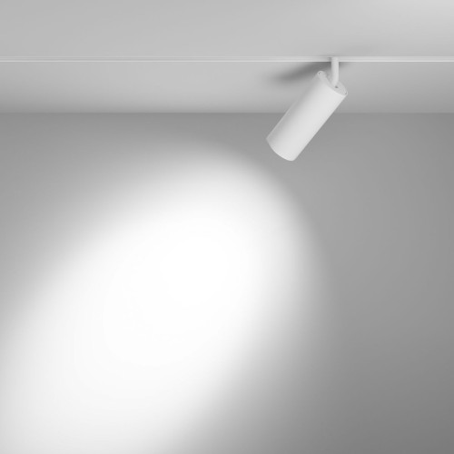 Трековый магнитный светильник Maytoni Focus LED TR032-2-20W4K-S-W