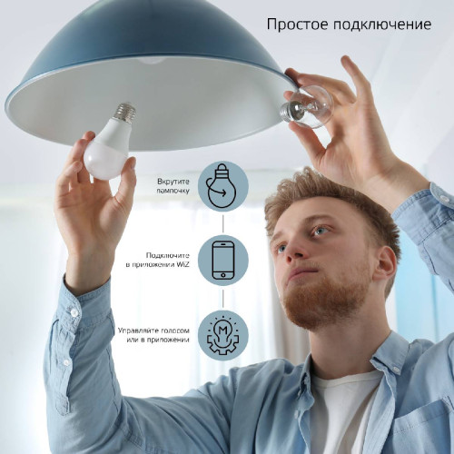 Лампа светодиодная диммируемая Gauss E27 10W 2700K матовая 1070112